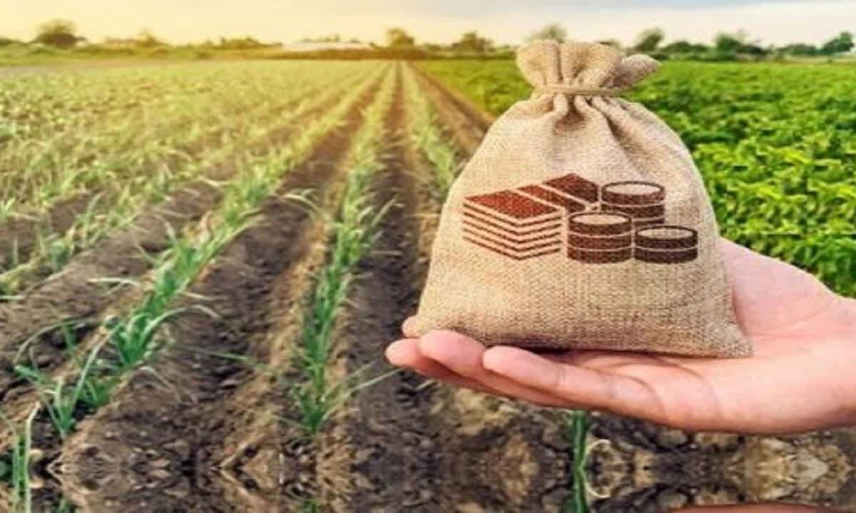 سند راهبردی صندوق بیمه کشاورزی در افق ۱۴۱۰ رونمایی شد