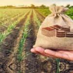سند راهبردی صندوق بیمه کشاورزی در افق ۱۴۱۰ رونمایی شد