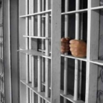 مجله اینترنتی کیاسبز
