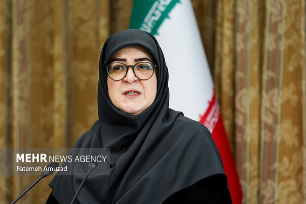 بازدید سخنگوی دولت از مرز مهران