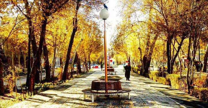 خیابان «چهارباغ» اصفهان در دوران قاجار؛ سال ۱۲۸۰ + عکس