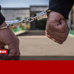 مجله اینترنتی کیاسبز
