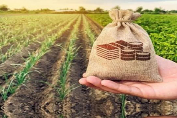 پرداخت خسارت‌های بخش کشاورزی به‌ روز شد